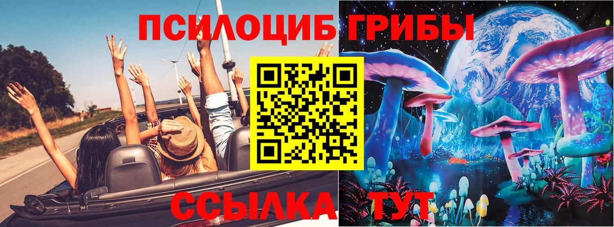 Галлюциногенные грибы прущие грибы Чехов