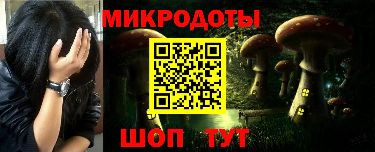 Галлюциногенные грибы Psilocybe  Вход с VPN  Чехов 